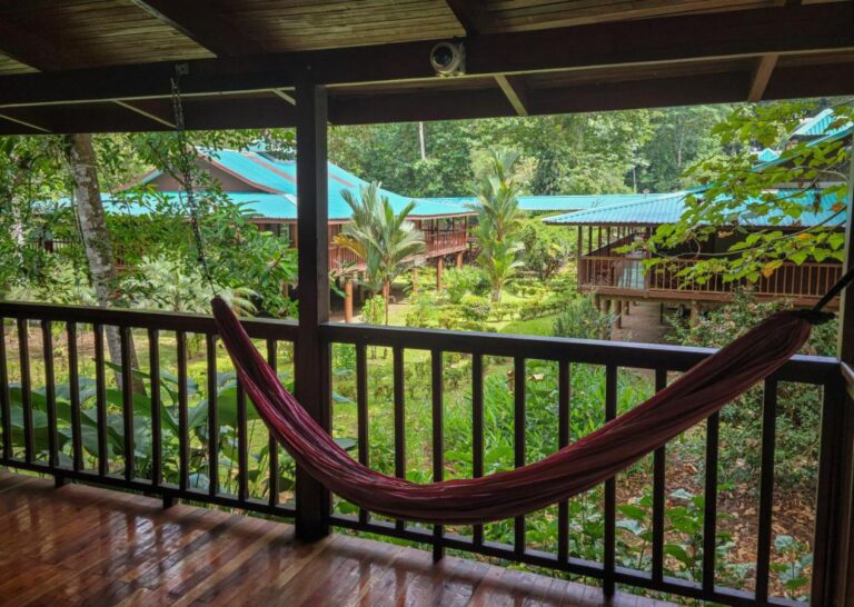 albergue selva verde