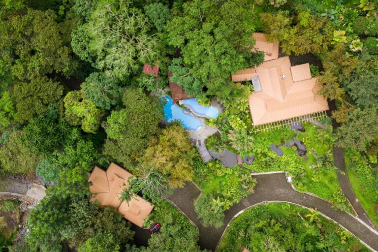 the lost iguana resort & spa