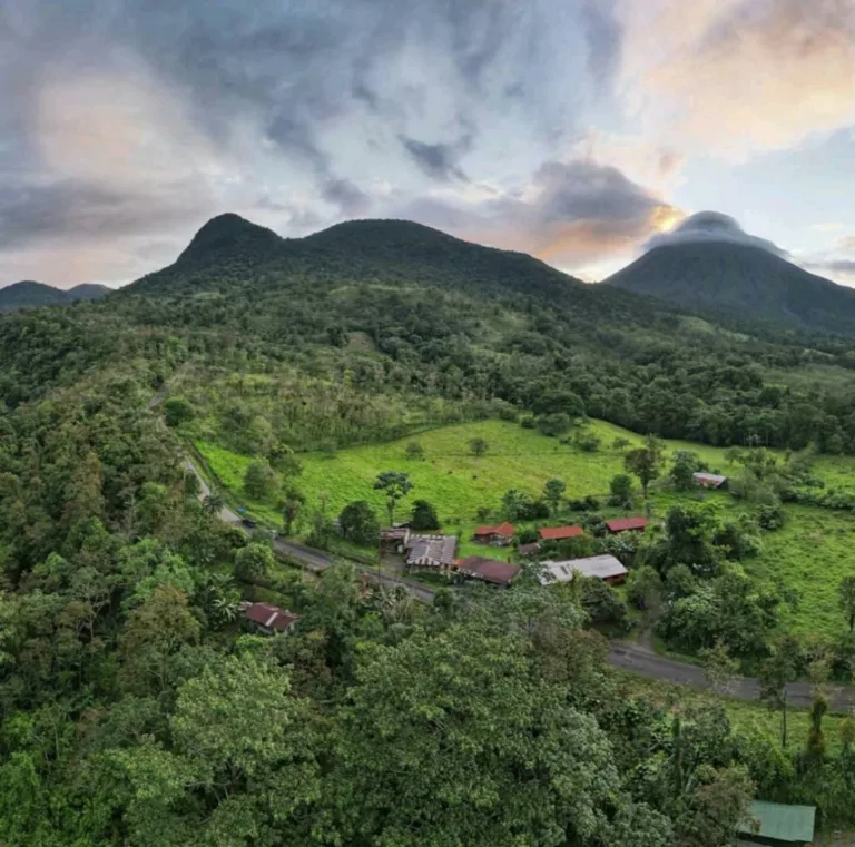 Flora glamping abuela