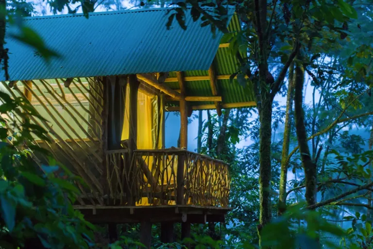 la tigra rainforest lodge